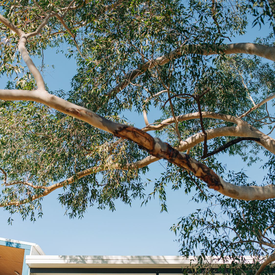 Are School Marketers the Philosophers of Education?